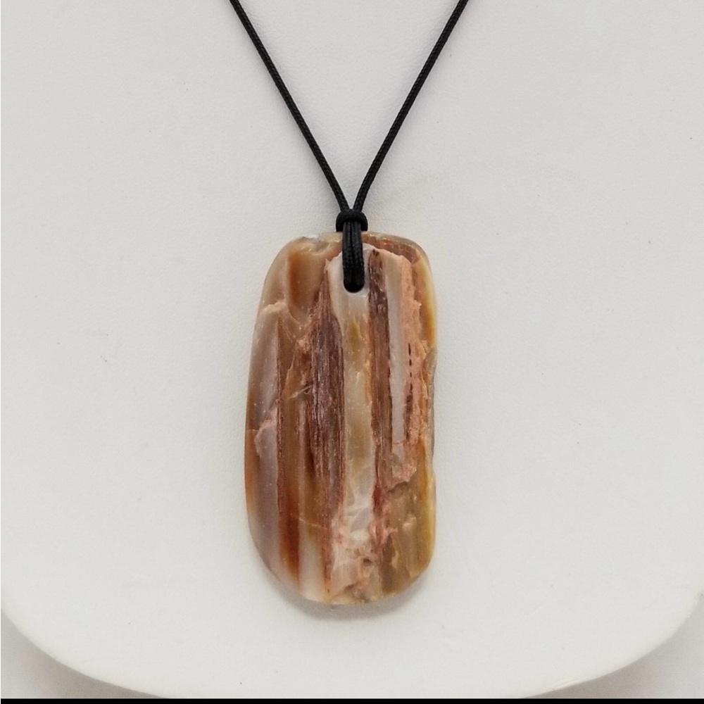 Petrified Wood pendant